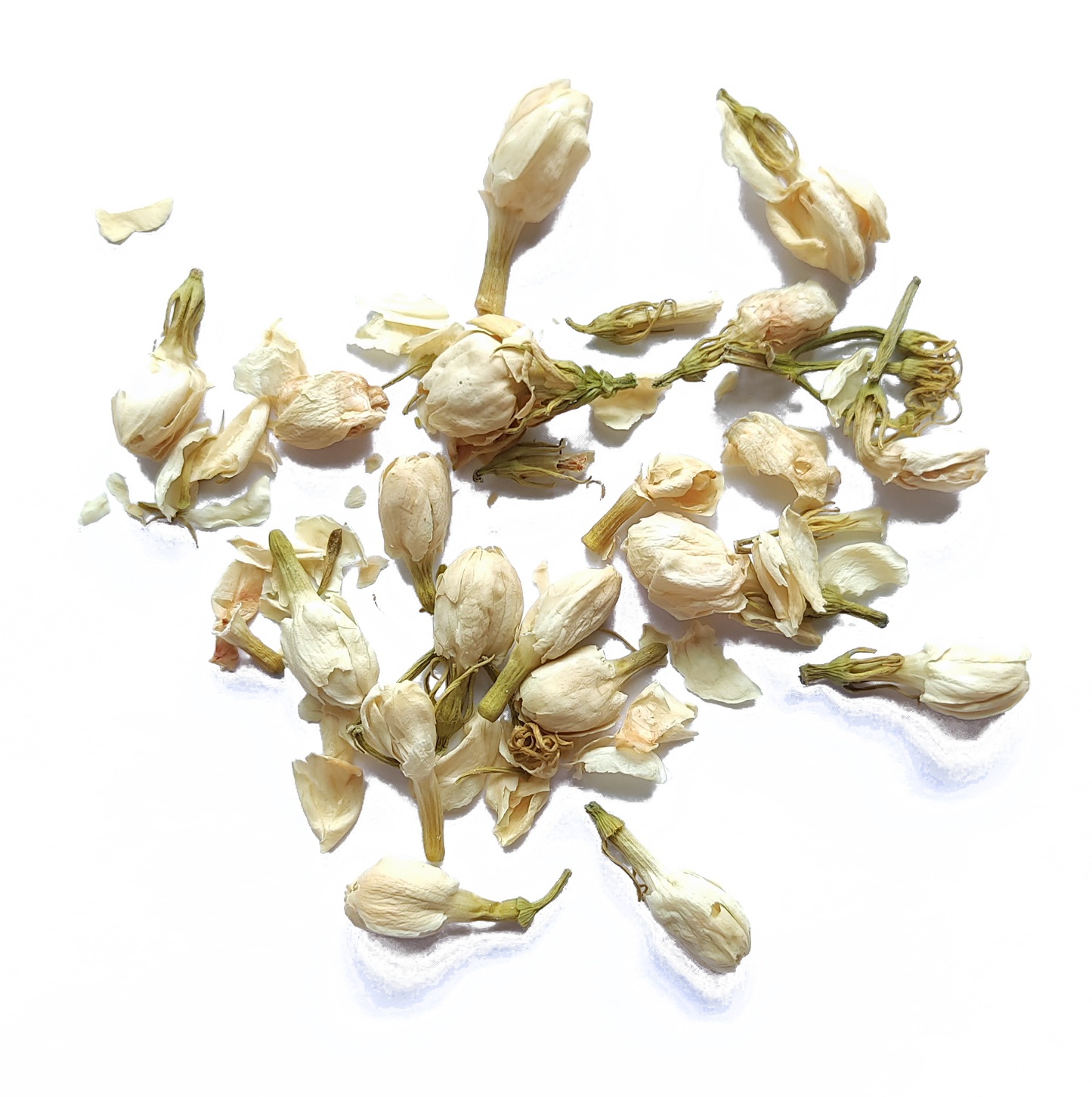 FLOR DE JAZMÍN