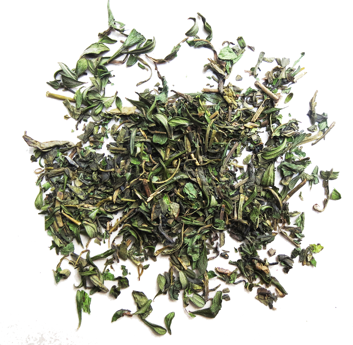 MOROCCAN MINT